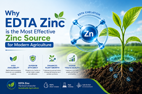 Why EDTA Zinc is the Most Effective Zinc Source for Modern Agriculture