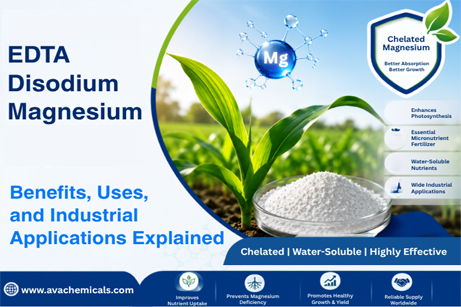 EDTA Disodium Magnesium: Benefits, Uses, and Industrial Applications Explained