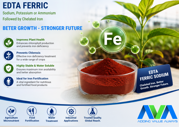 EDTA Ferric Sodium: Applications, Benefits, and Importance in Agriculture & Iron Fortification