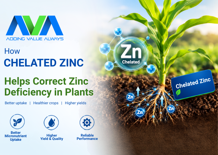 How Chelated Zinc Helps Correct Zinc Deficiency in Plants